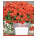 А5/12 кл. 1В Flowers bouquet - 17 тетрадь ученич. 760688