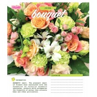 А5/12 лін. 1В Bouquet - 17 зошит учнів