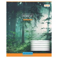 А5/12 кл. 1В Magic Forest - 17 зошит учнів