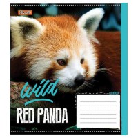 А5/18 кл. 1В Wild fox, зошит учнів.