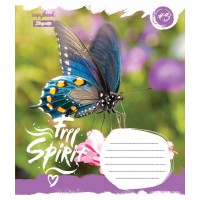 А5 / 24 лін. 1В Butterfly Spirit , зошит учнів.
