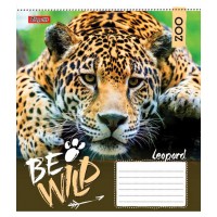 А5/36 кл. 1В Be wild, зошит учнів.