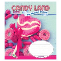 А5/96 кл. 1В Candyland , зошит учнів.