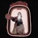 Рюкзак шкільний каркасний 1Вересня H-29 Dolly Dog 559516