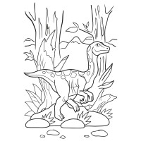 Розмальовка А4 1 Вересня Dinosaurs 2 12 стор.