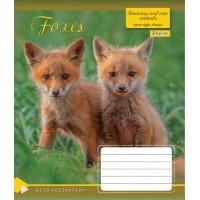 А5 / 12 кл. 1В WILD COLLECTION, зошит учнів.
