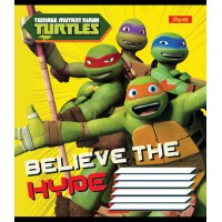 А5 / 12 кос. 1В TMNT, зошит учнів.