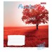А5/60 лін. 1В PARADISE COLOURS, зошит дя записів 763670