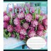 Тетрадь А5 60 Лин. 1В Wedding Flowers 763674