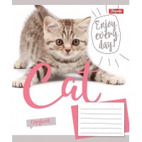 Зошит А5 24 Кл. 1В Cat