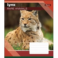 Зошит А5 12 Кл. 1В Rare Animals