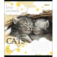 Зошит А5 18 Кл. 1В Love Animals