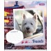 Зошит А5 18 Кл. 1В Your Best Friend 764524