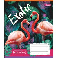 Зошит А5 18 Кл. 1В Exotic Animal