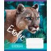 Тетрадь А5 18 Лин. 1В Exotic Animal 764551