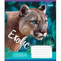 Зошит А5 24 Кл. 1В Exotic Animal