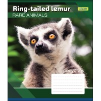 Зошит А5 48 Лін. 1В Rare Animals