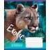 Зошит А5 48 Лін. 1В Exotic Animal 764642