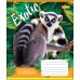 Зошит А5 48 Лін. 1В Exotic Animal 764642