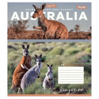 Зошит А5 36 Кл. 1В Earth Animal