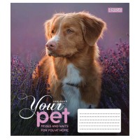 Зошит А5 48 Кл. 1В Dog Loyality