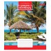 Зошит А5 60 Кл. 1В Summer Adventures 765480