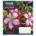 Зошит А5 96 Лін. 1В Touch Tropics 765494
