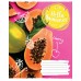 Зошит А5 60 Кл. 1В Hello Summer 765694