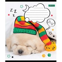 А5/12 кос. без д/л 1В Sweet dreams, зошит учнів.