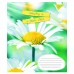 А5/48 лін. 1В Summer flowers, зошит для записів 766030