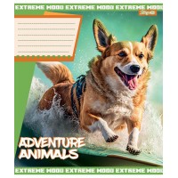 А5/18 кл. 1В Adventure animals, зошит учнів.