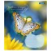 Зошит для записів 1В Butterfly А5 48 аркушів клітинка 767357