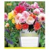 А5/48 кл. 1В Flowers bouquet -17 тетрадь ученич. 680031