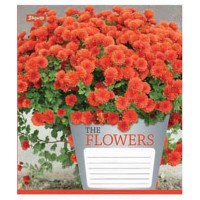 А5/18 кл. 1В Flowers bouquet -17зошит учнів