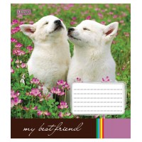 А5/48 кл. 1В Best Friend-17зошит учнів