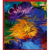 А5/18 кл. 1В Colorful -17 зошит учнів