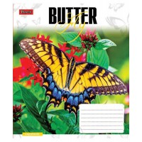 А5/24 кл. 1В Butterflys -17зошит учнів
