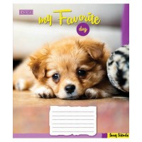 А5/36 лін. 1В Favorite Dog-17 зошит учнів