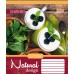 Зошит А5 60 Кл. 1В Natural Fruits 760418
